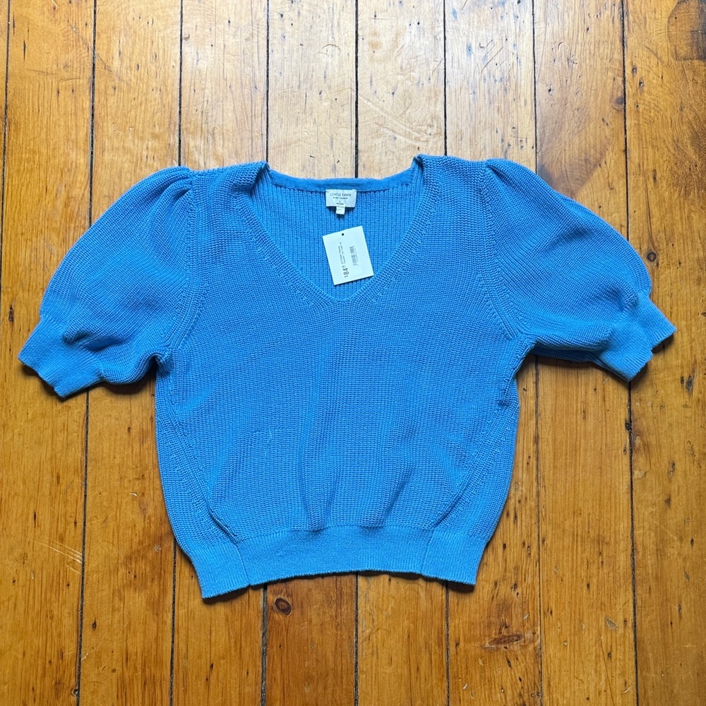 Gentle Fawn V-Neck Sweater in Vibrant Blue